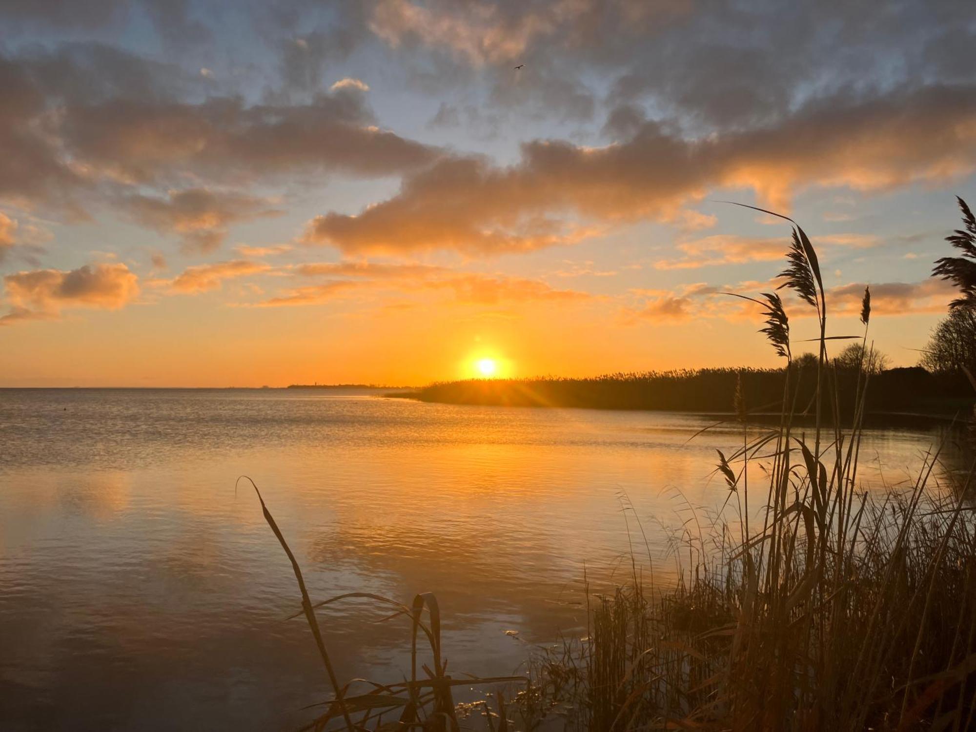 Grosse 4 Sterne Ferienwohnung Beim Boddenstrand Sundhagen-Niederhof Luaran gambar